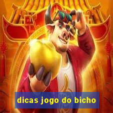 dicas jogo do bicho